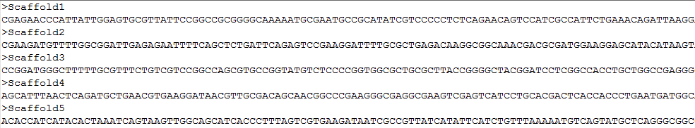 fna.png